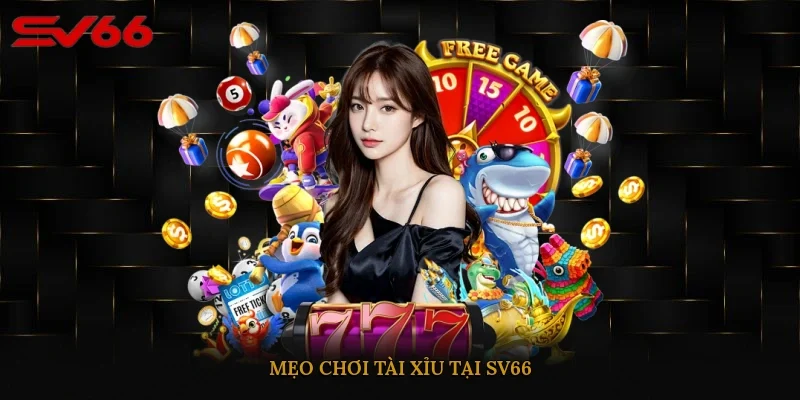 Mẹo chơi tài xỉu tại SV66 